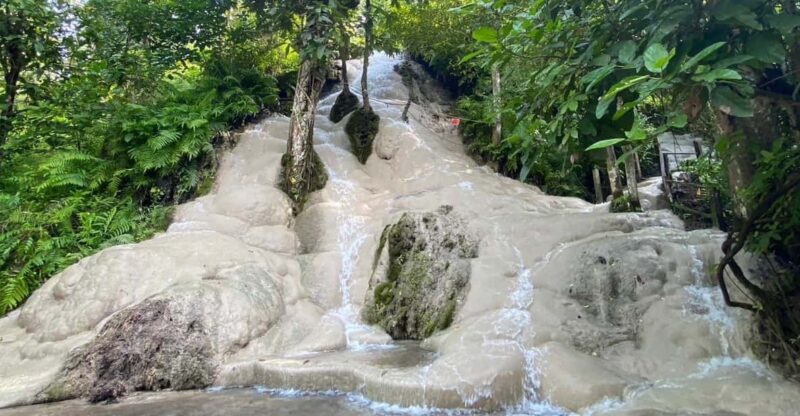 Chiang Mai Half Day Tour: Sticky Waterfall & Hotel Transfer - Inclusions
