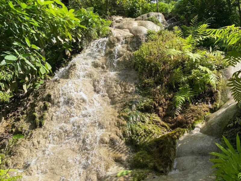 Chiang Mai Half Day Tour: Sticky Waterfall & Hotel Transfer - Exclusions