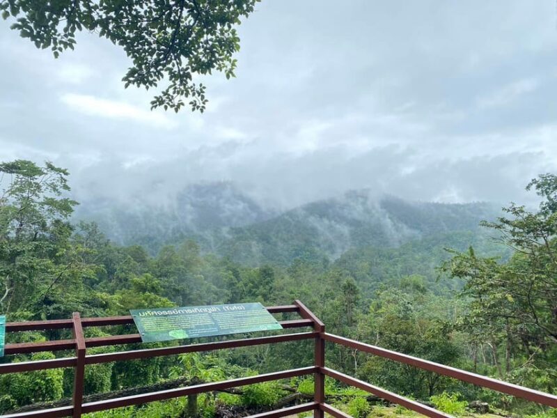 Chiang Mai Half Day Tour: Sticky Waterfall & Hotel Transfer - Important Information