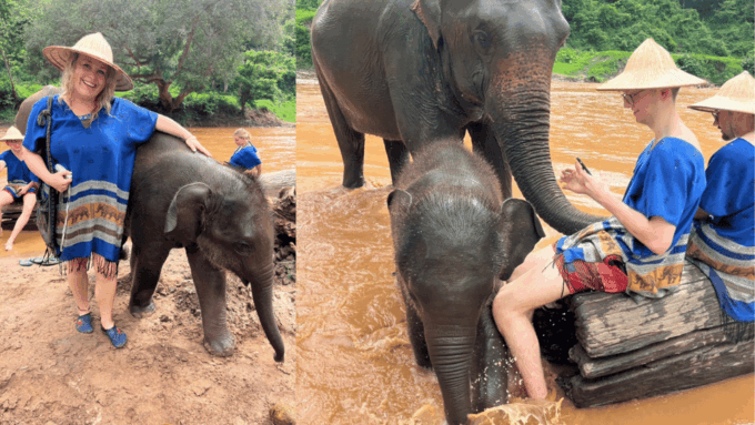 Chiang Mai: Half Day Walking With Giant Elephants - Accessibility and Mobility
