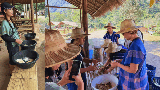 Chiang Mai: Half Day Walking With Giant Elephants - Contact Information