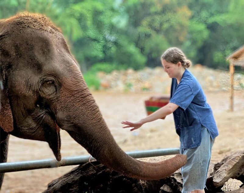 Chiang Mai : Highlight in One Day - Itinerary and Activities