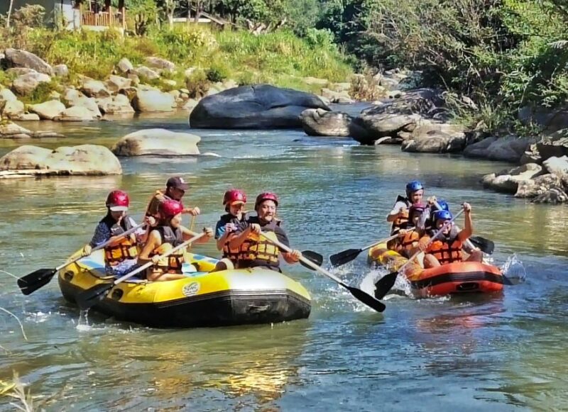 Chiang Mai : Highlight in One Day - Highlights and Experiences