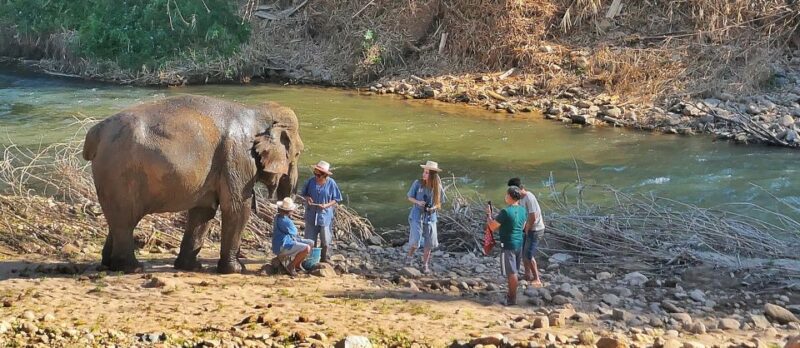 Chiang Mai : Highlight in One Day - Cancellation Policy