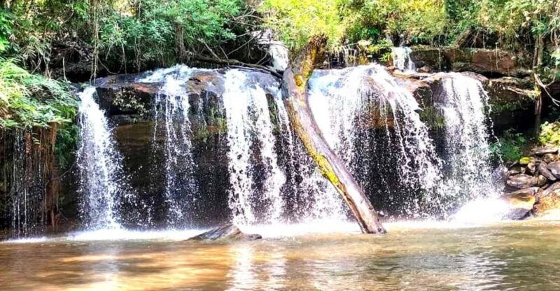 Chiang Mai: Highlight One Day Only Walk 4 Hrs ( Medium) - Itinerary