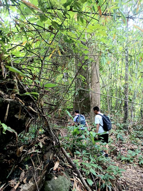Chiang Mai: Highlight Overnight Stay Trekking Experience - Key Points