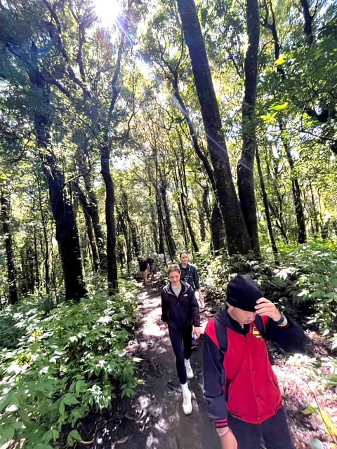 Chiang Mai: Highlight Overnight Stay Trekking Experience - Restrictions