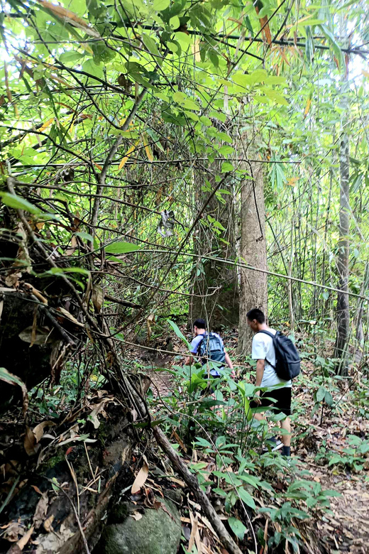 Chiang Mai: Highlight Overnight Stay Trekking Experience - Doi Inthanon National Park