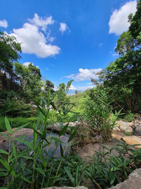 Chiang Mai: Hike Monks Trails, Cliff Jump & Michelin Lunch - Michelin-Starred Lunch Experience