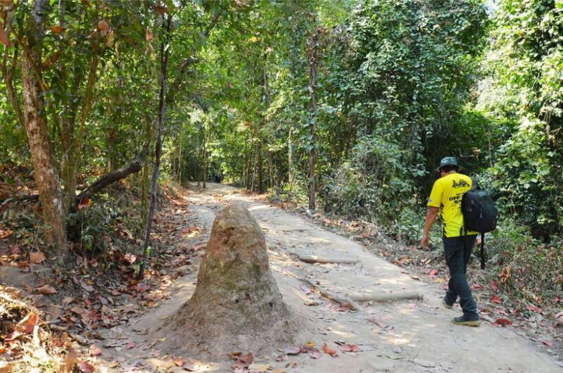 Chiang Mai: Hike on Monk's Trail and Doi Suthep Private Tour - Visiting Wat Phra That Doi Suthep