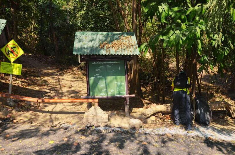 Chiang Mai: Hike on Monk's Trail and Doi Suthep Private Tour - Breathtaking Panoramic Views