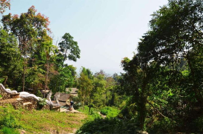 Chiang Mai: Hike on Monk's Trail and Doi Suthep Private Tour - Cultural Immersion and Natural Beauty