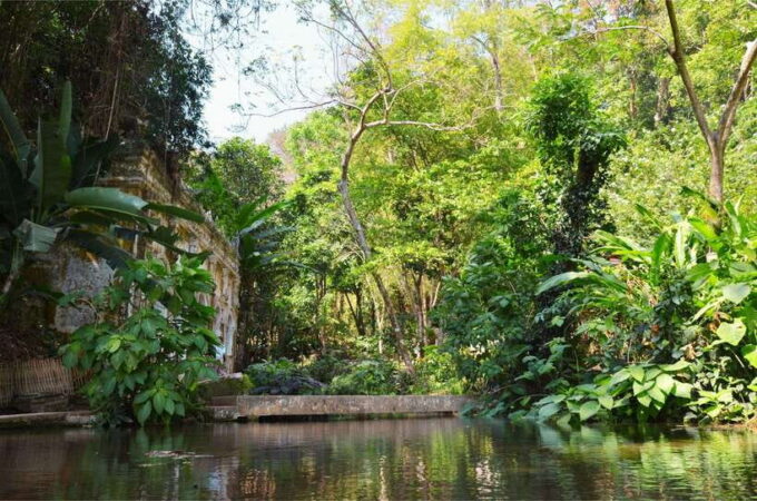 Chiang Mai: Hike on Monk's Trail and Doi Suthep Private Tour - Participant Requirements and Recommendations