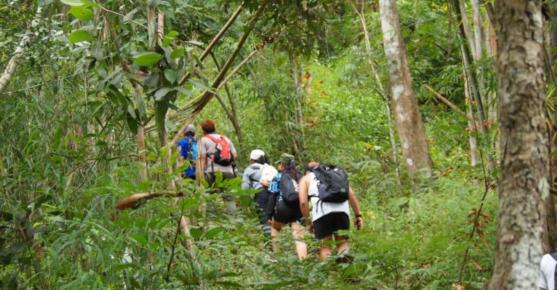 Chiang Mai: Hilltribe Hiking and Kayaking Day Trip - Key Points