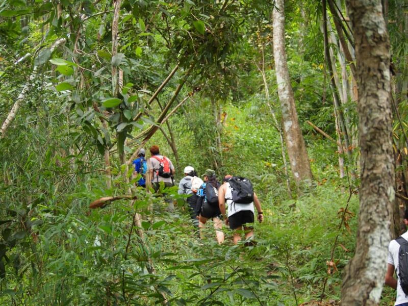 Chiang Mai: Hilltribe Hiking and Kayaking Day Trip - Pong Ngan Lahu Hilltribe Village
