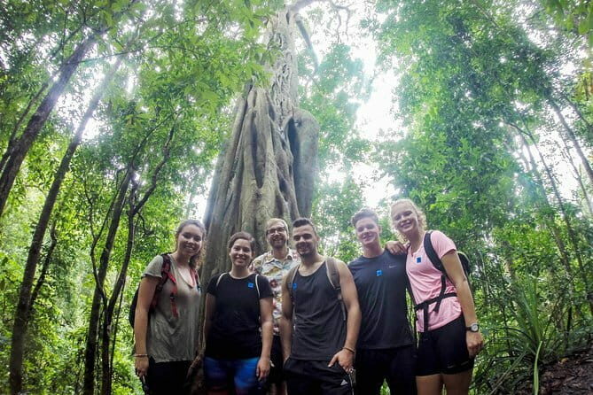 Chiang Mai: Inthanon, Elephant Sanctuary Observation & Waterfall - Hiking and Waterfalls at Pha Dok Siew