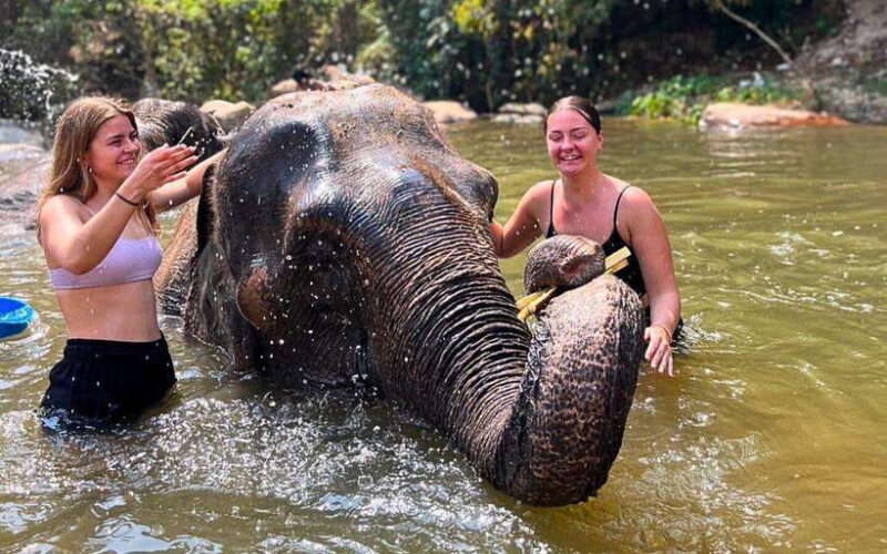 Chiang Mai: Jungle Trek, Hill Tribe & Bamboo Rafting - Itinerary Highlights
