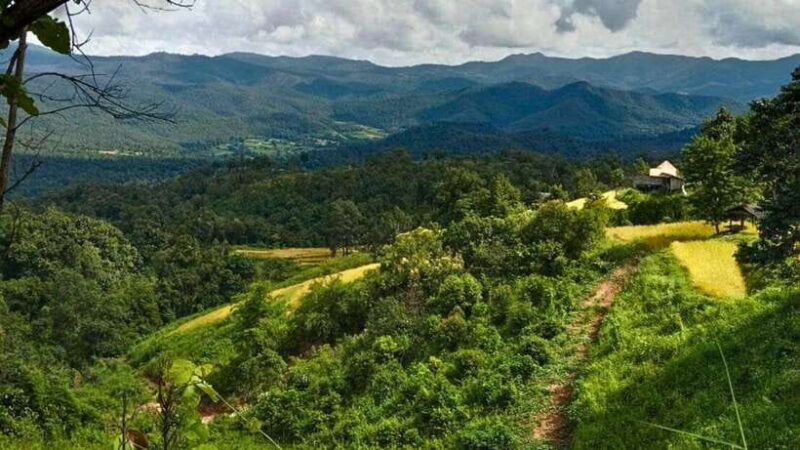 Chiang Mai: Jungle Trek, Hill Tribe & Bamboo Rafting - Suitability