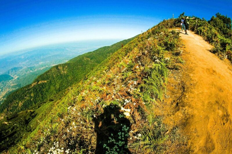 Chiang Mai: Kew Mae Pan Nature Trail & Doi Inthanon Day Trip - Important Details