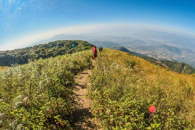 Chiang Mai: Kew Mae Pan Nature Trail & Doi Inthanon Day Trip - Customer Feedback