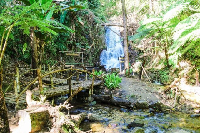 Chiang Mai: Kew Mae Pan Nature Trail & Doi Inthanon Day Trip - Cultural Experiences