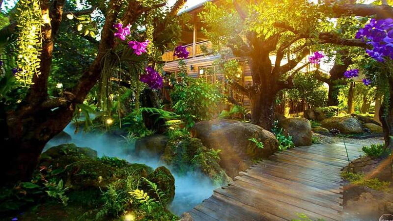Chiang Mai: Lalita Cafe & White, Blue, Big Buddha Temples - Itinerary Highlights