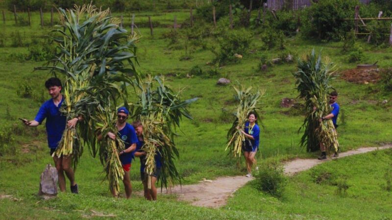 Chiang Mai: Living Green Elephant Sanctuary & Bamboo Rafting - Wildlife Viewing Opportunities