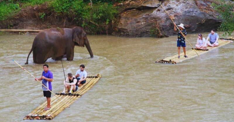 Chiang Mai: Living Green Elephant Sanctuary & Bamboo Rafting - Important Considerations