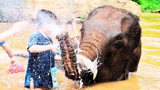Chiang Mai: Living Green Elephant Sanctuary & Bamboo Rafting - Frequently Asked Questions