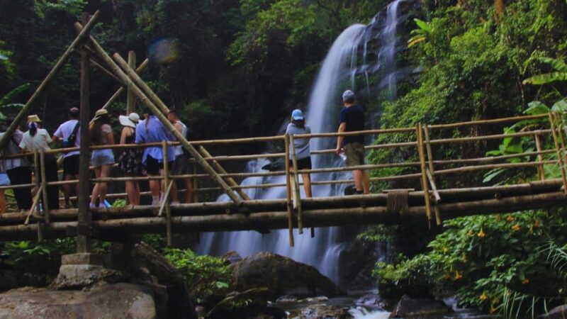 Chiang Mai: Living Green Elephant Sanctuary & Intanon Hiking - Elephant Encounter Experience