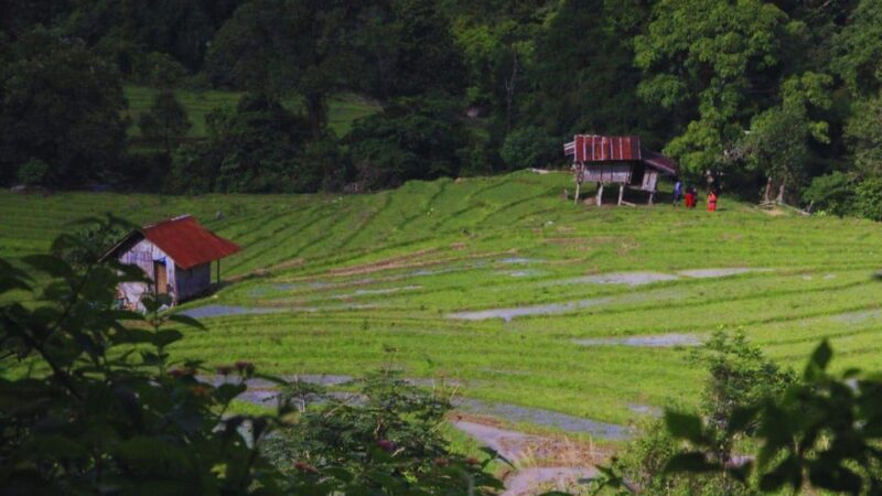 Chiang Mai: Living Green Elephant Sanctuary & Intanon Hiking - Exploring Doi Inthanon
