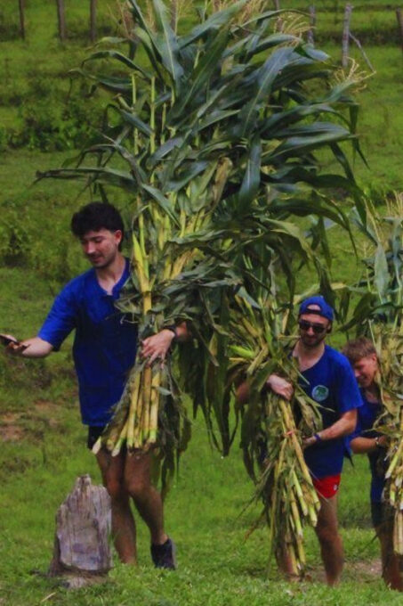Chiang Mai: Living Green Elephant Sanctuary & Intanon Hiking - Important Information and Pricing