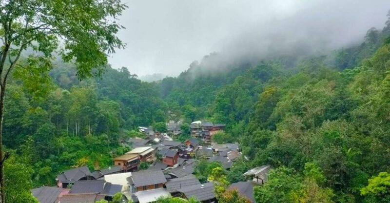 Chiang Mai: Mae Kampong Village, Hot Springs & Bor Sang Tour - Itinerary Highlights