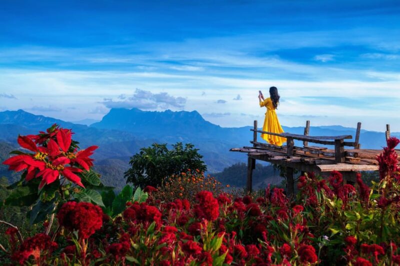 Chiang Mai: Minivan Rental With Driver to Doi Chiang Dao - Key Points