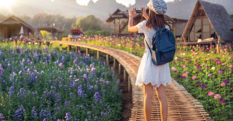 Chiang Mai: Minivan Rental With Driver to Doi Inthanon - Hiking the Kew Mae Pan Nature Trail