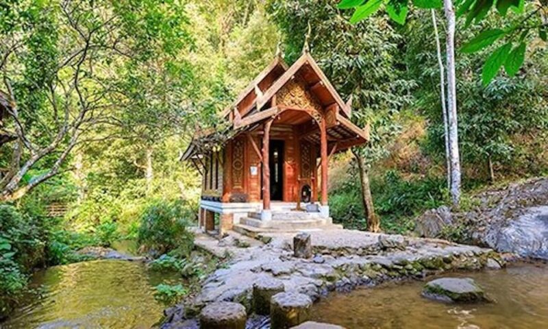 Chiang Mai: Minivan Rental With Driver to Doi Mae Kam Pong - Features