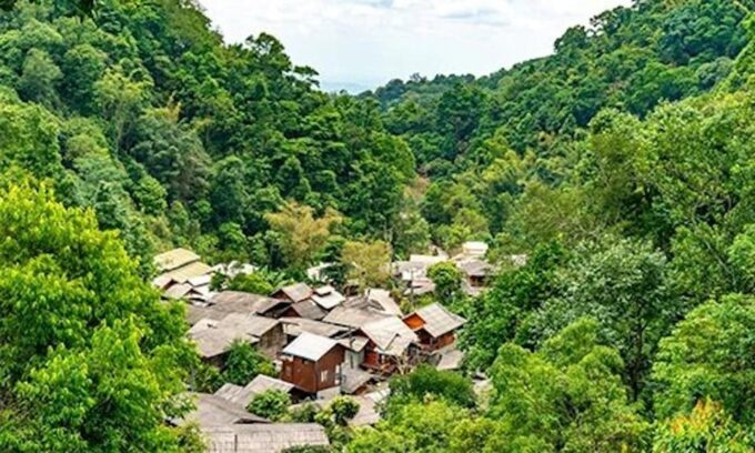 Chiang Mai: Minivan Rental With Driver to Doi Mae Kam Pong - Mae Kampong Tea Plantation