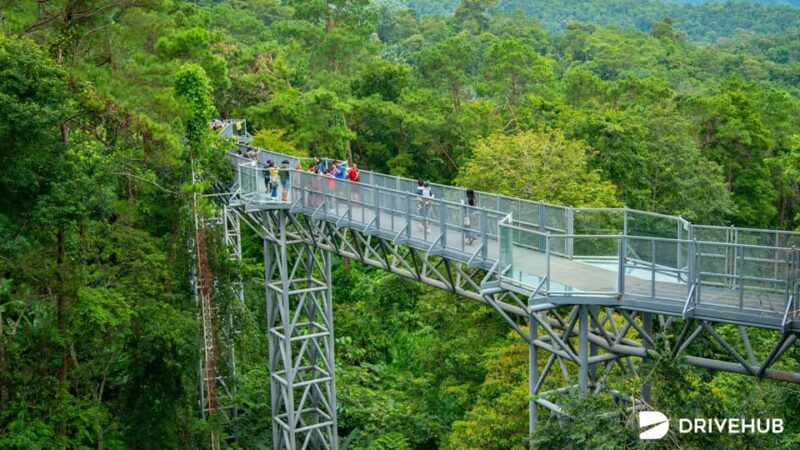 Chiang Mai: Minivan Rental With Driver to Doi Mon Jam - Mae Sa Waterfall