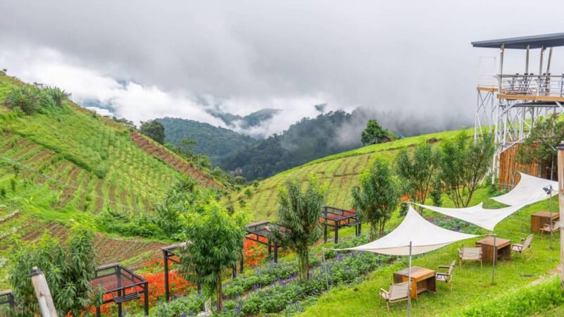 Chiang Mai: Minivan Rental With Driver to Doi Mon Jam - Coffee @ Pong Yeang Berry-Windyhill