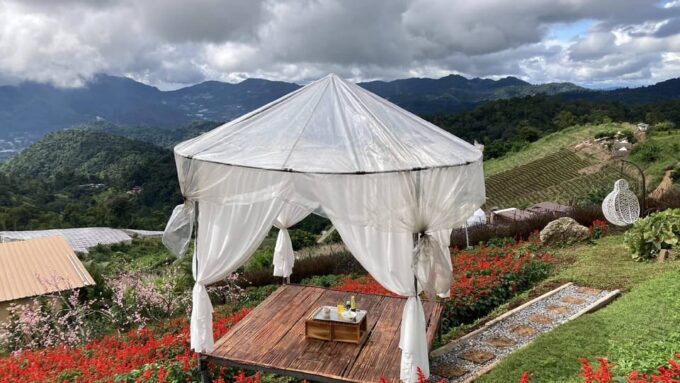 Chiang Mai: Minivan Rental With Driver to Doi Mon Jam - Dining Options
