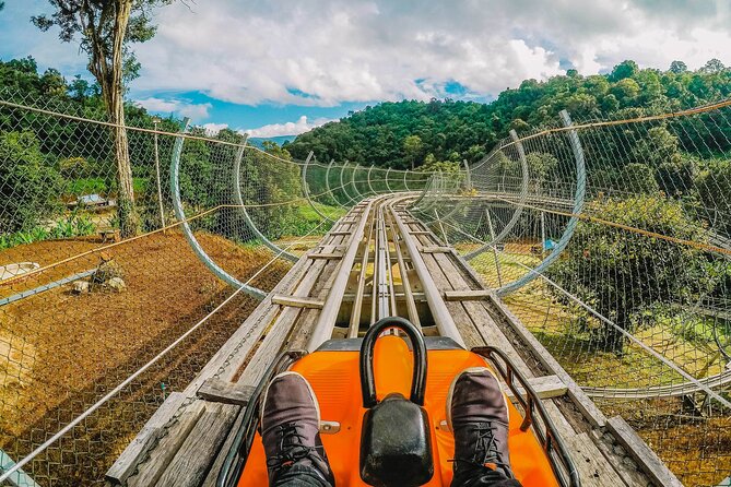 Chiang Mai Mon Jam Highlands and Pongyang Full-Day Private Tour - Queen Sirikit Botanic Garden