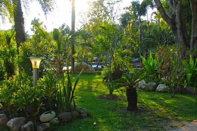 Chiang Mai Muay Thai Boxing Experience - Transportation and Meal Included