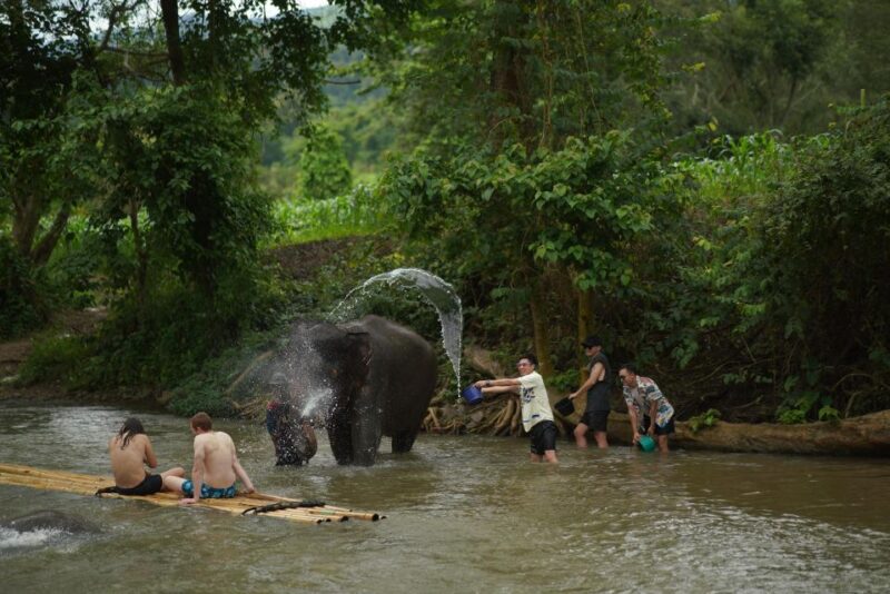 Chiang Mai: National Elephant Care, Rafting, & Ziplines Trip - Elephant Interaction and Activities