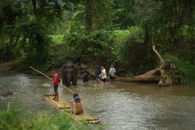 Chiang Mai: National Elephant Care, Rafting, & Ziplines Trip - Frequently Asked Questions