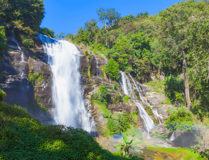 Chiang Mai: Nature Exploration at Doi Inthanon National Park - Exploring Doi Inthanon National Park