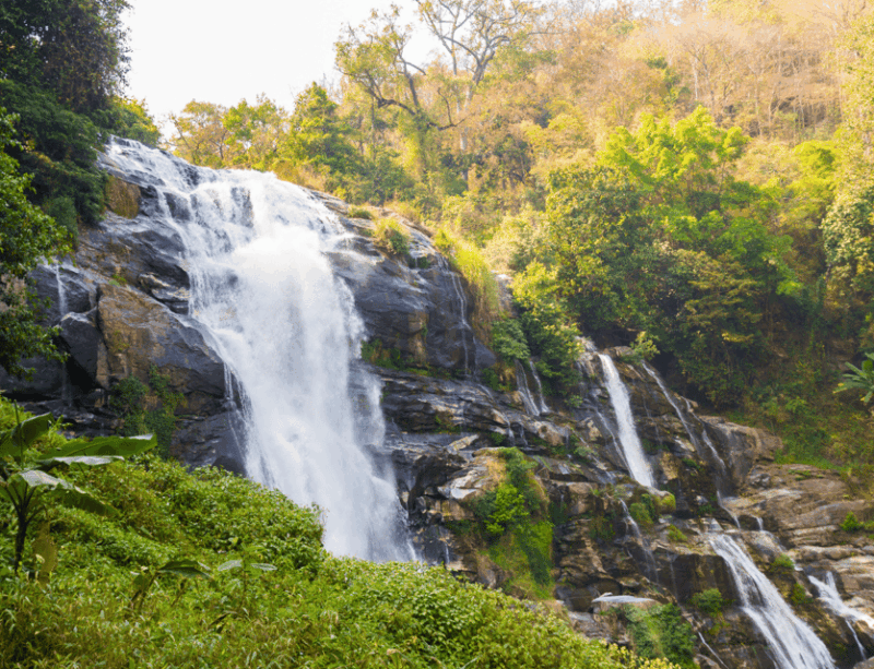 Chiang Mai: Nature Exploration at Doi Inthanon National Park - Hiking the Ang Ka Nature Trail
