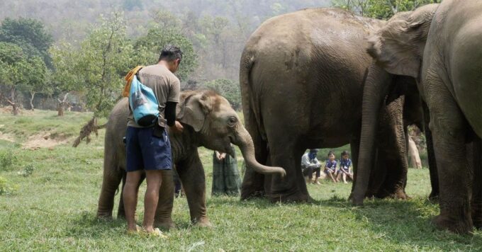Chiang Mai: New Elephant Home Elephant Care Program - Getting There