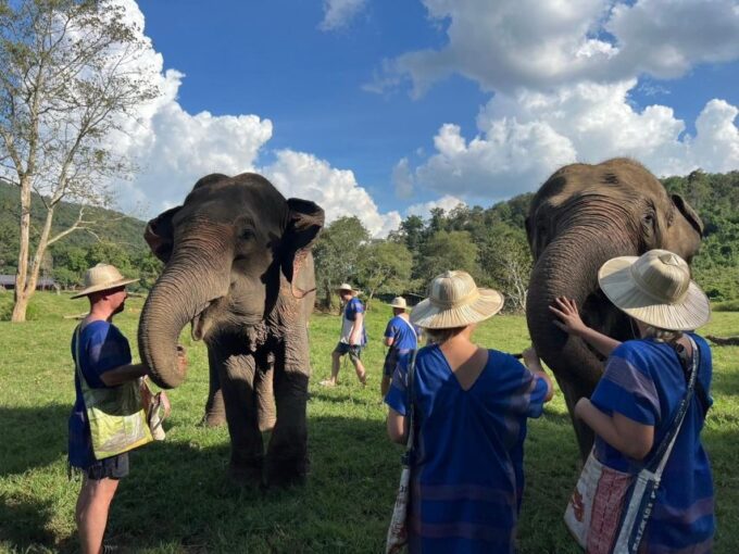 Chiang Mai: New Elephant Home Walking With Giants Tour - About the Sanctuary