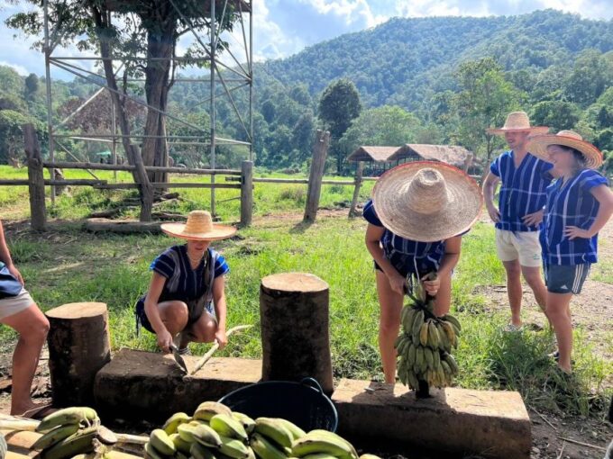 Chiang Mai: New Elephant Home Walking With Giants Tour - Booking and Contact