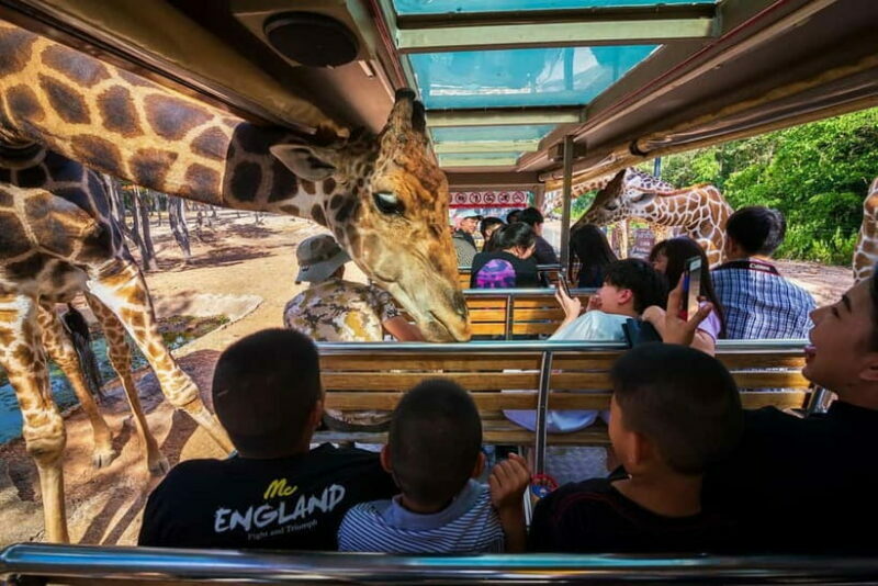 Chiang Mai Night Safari Full Access Ticket & Optional Pickup - Practical Considerations
